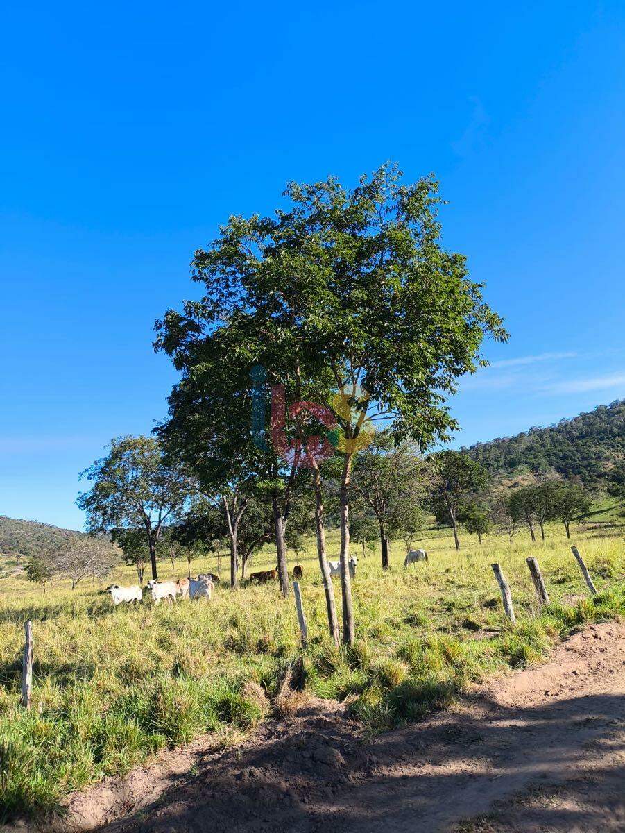 Fazenda à venda, 1409900m² - Foto 7