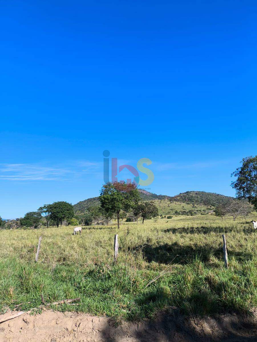 Fazenda à venda, 1409900m² - Foto 6