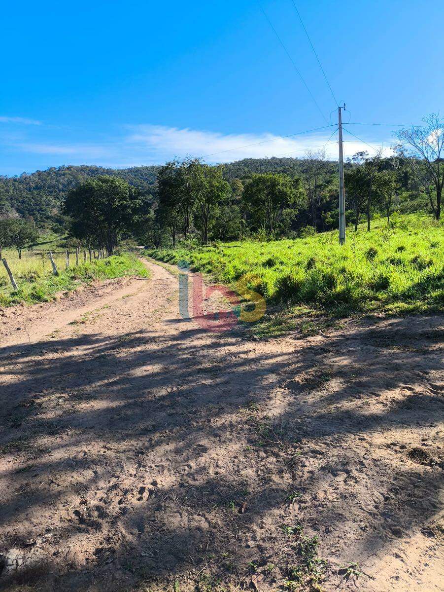 Fazenda à venda, 14090000m² - Foto 4