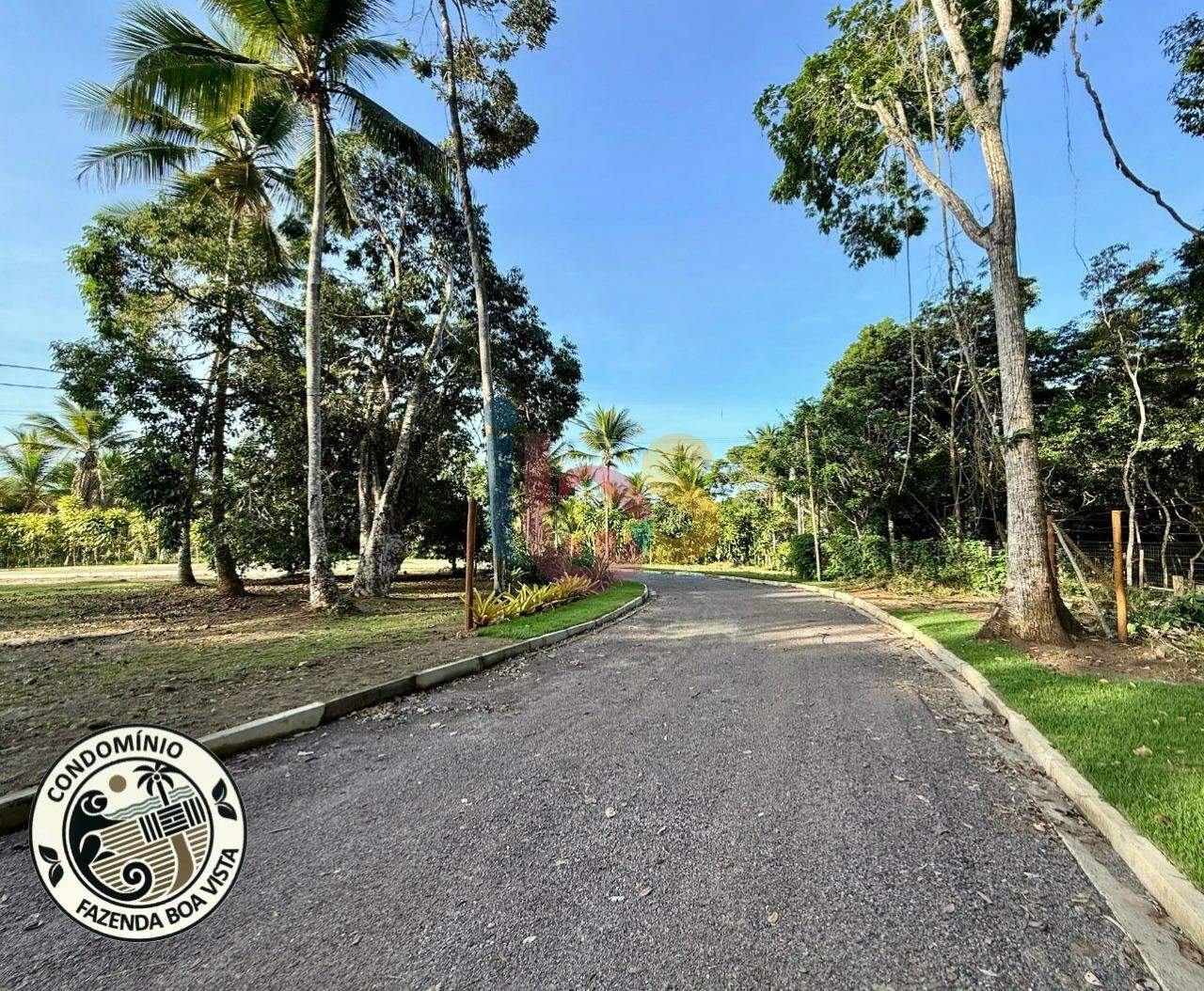 Terreno à venda, 1077m² - Foto 2