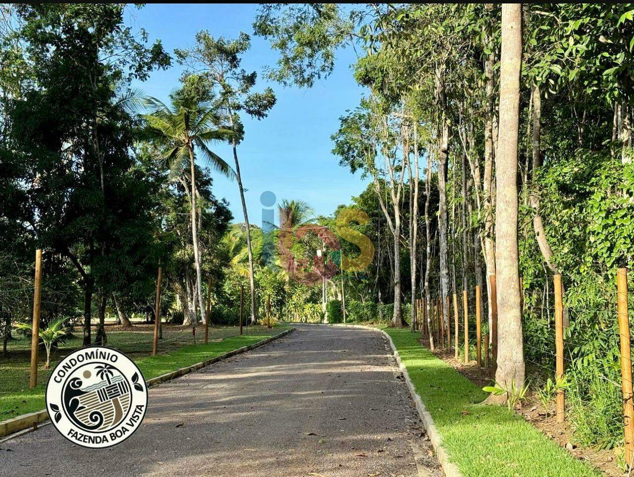 Terreno à venda, 1077m² - Foto 4