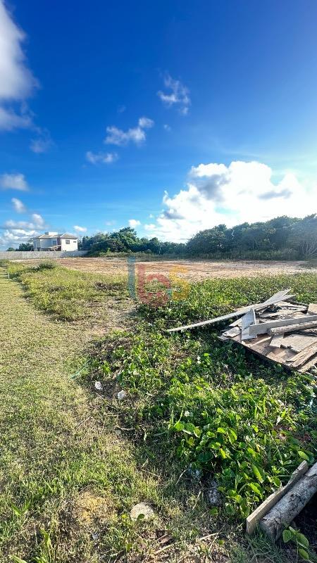 Terreno, 600 m² - Foto 6