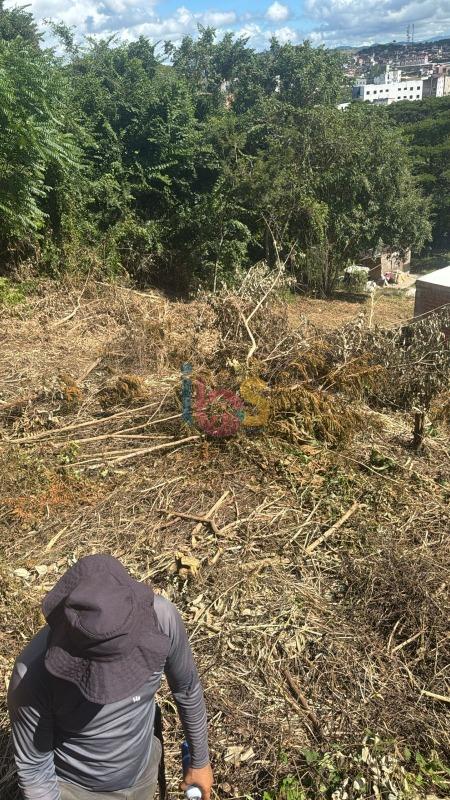 Terreno, 346 m² - Foto 6