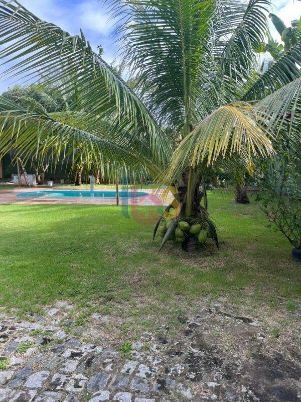 Casa à venda com 2 quartos, 200m² - Foto 12