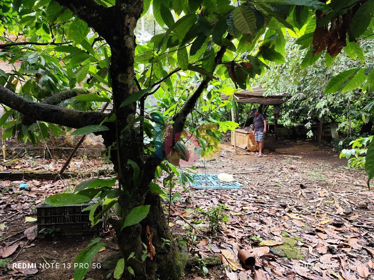 Sítio, 1 quarto - Foto 13