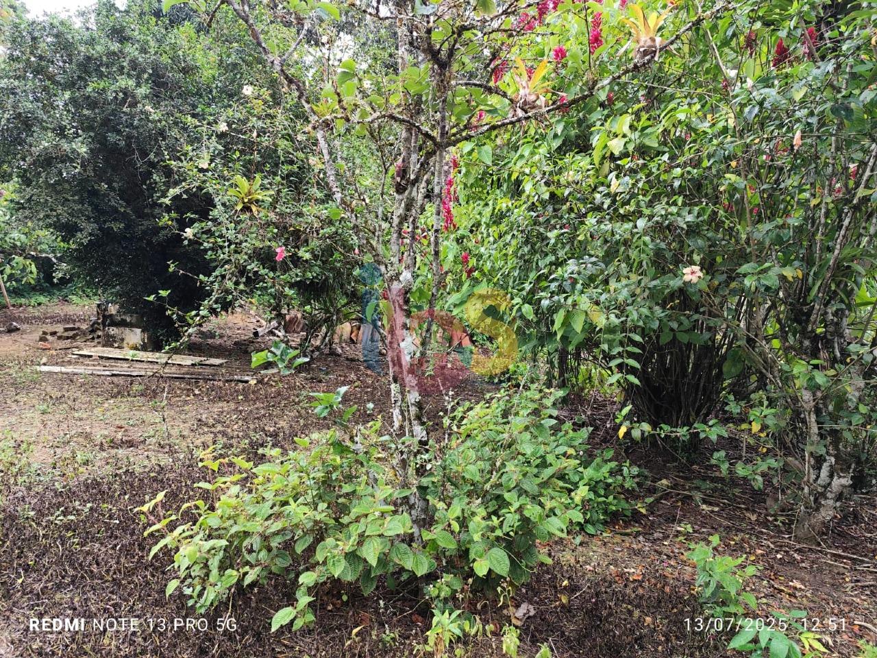 Sítio, 1 quarto - Foto 15