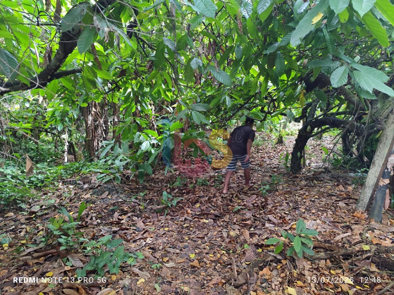 Sítio, 1 quarto - Foto 28