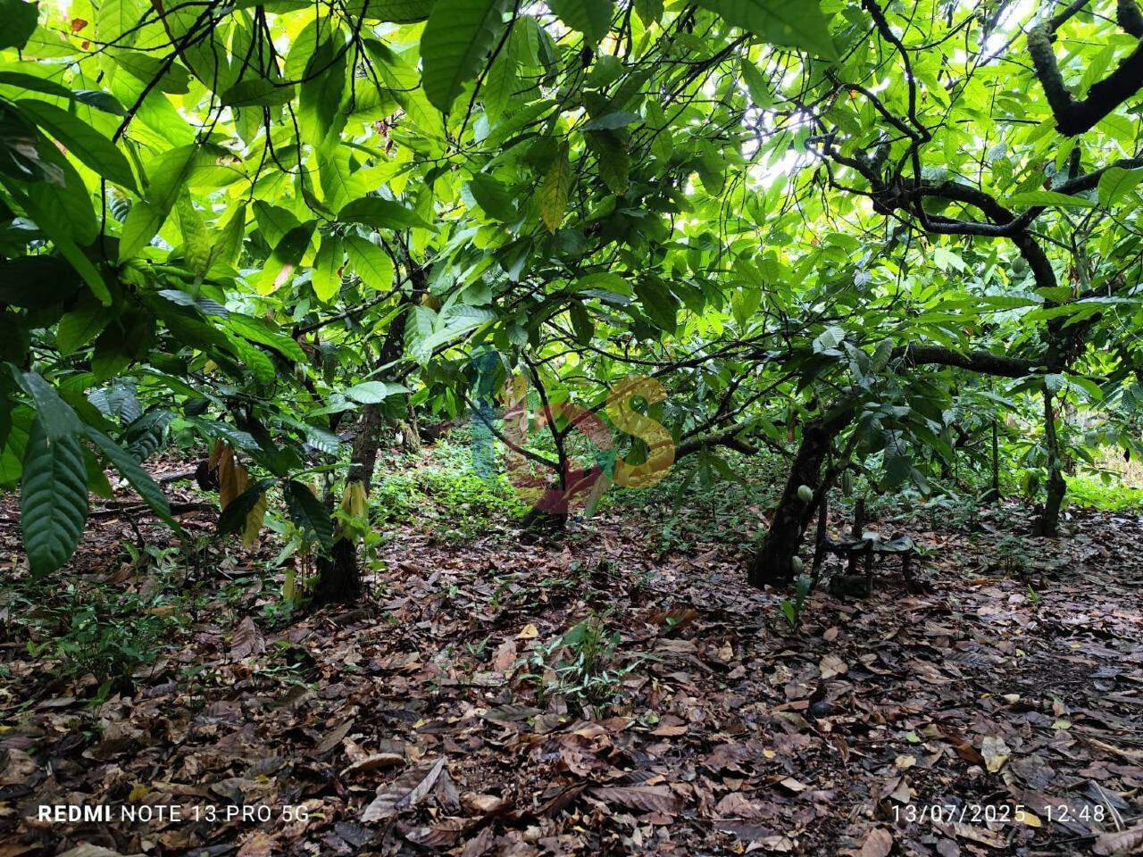 Sítio, 1 quarto - Foto 1