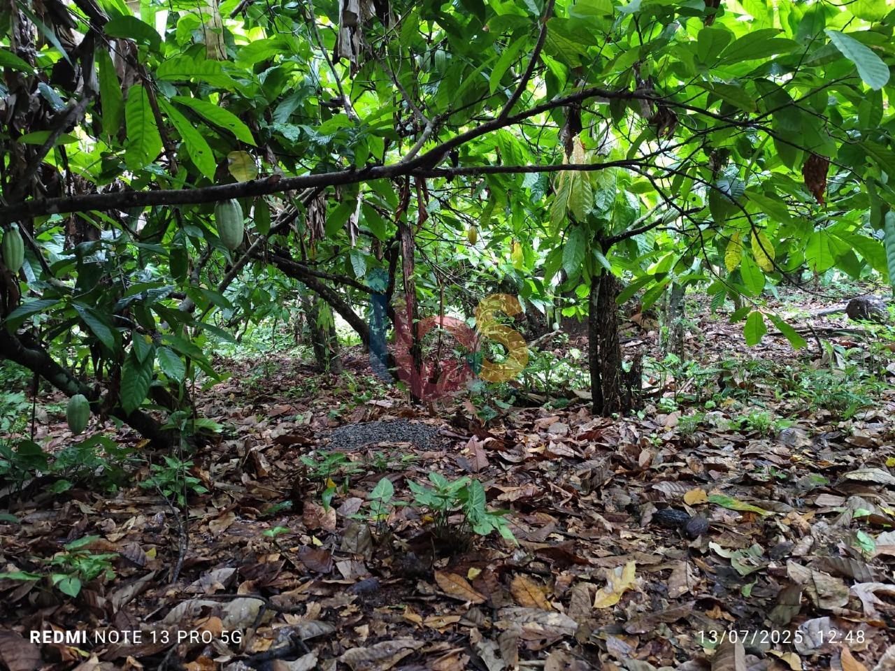 Sítio, 1 quarto - Foto 26