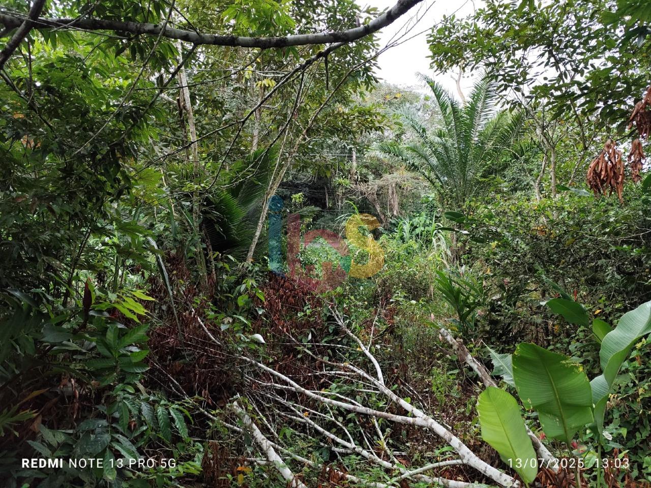 Sítio, 1 quarto - Foto 25