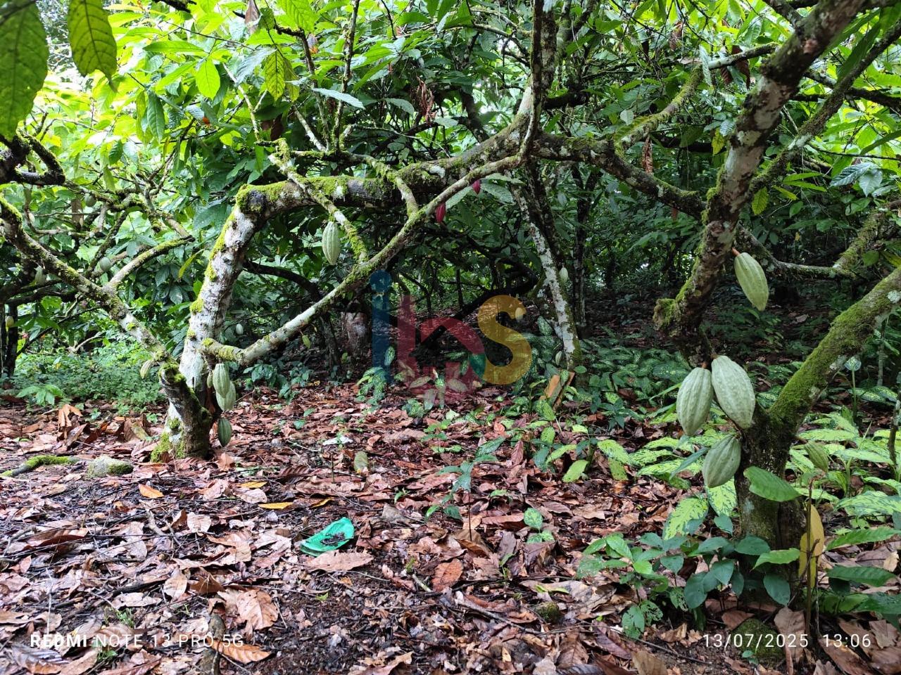 Sítio, 1 quarto - Foto 9