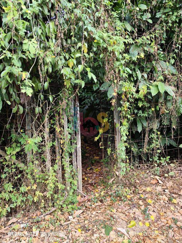 Sítio, 1 quarto - Foto 2