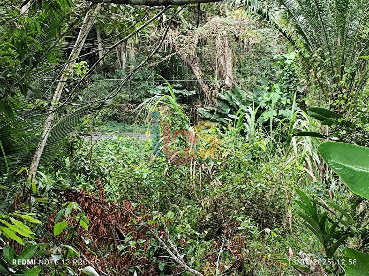 Sítio, 1 quarto - Foto 18