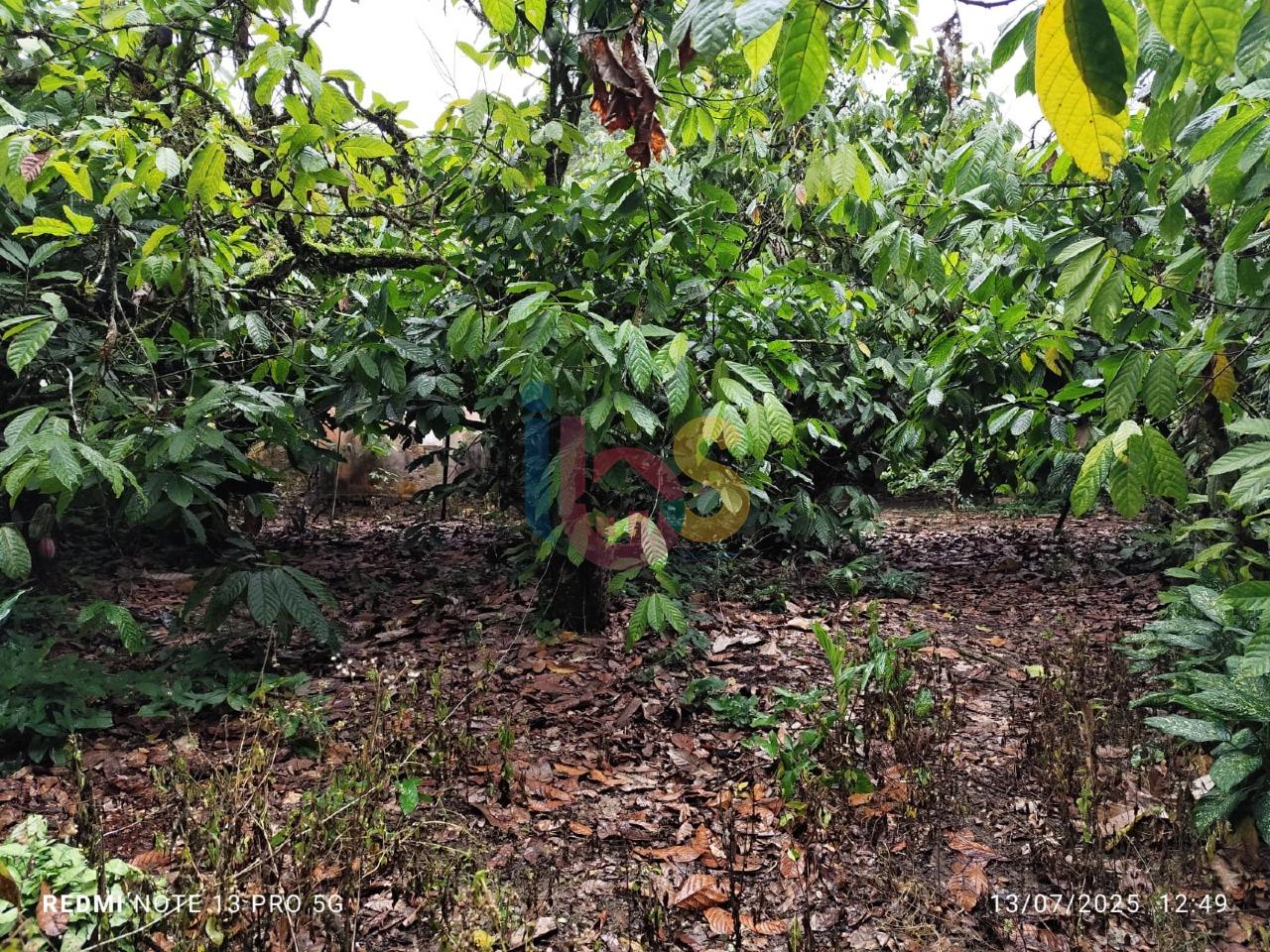 Sítio, 1 quarto - Foto 14