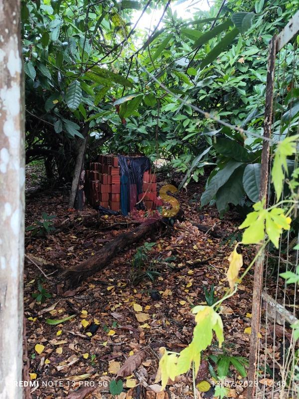 Sítio, 1 quarto - Foto 29