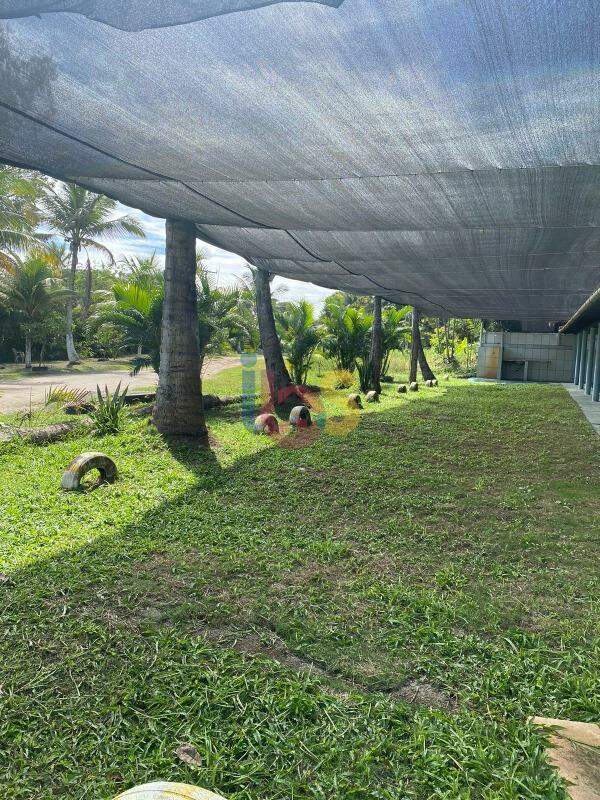 Fazenda à venda com 2 quartos, 35m² - Foto 11