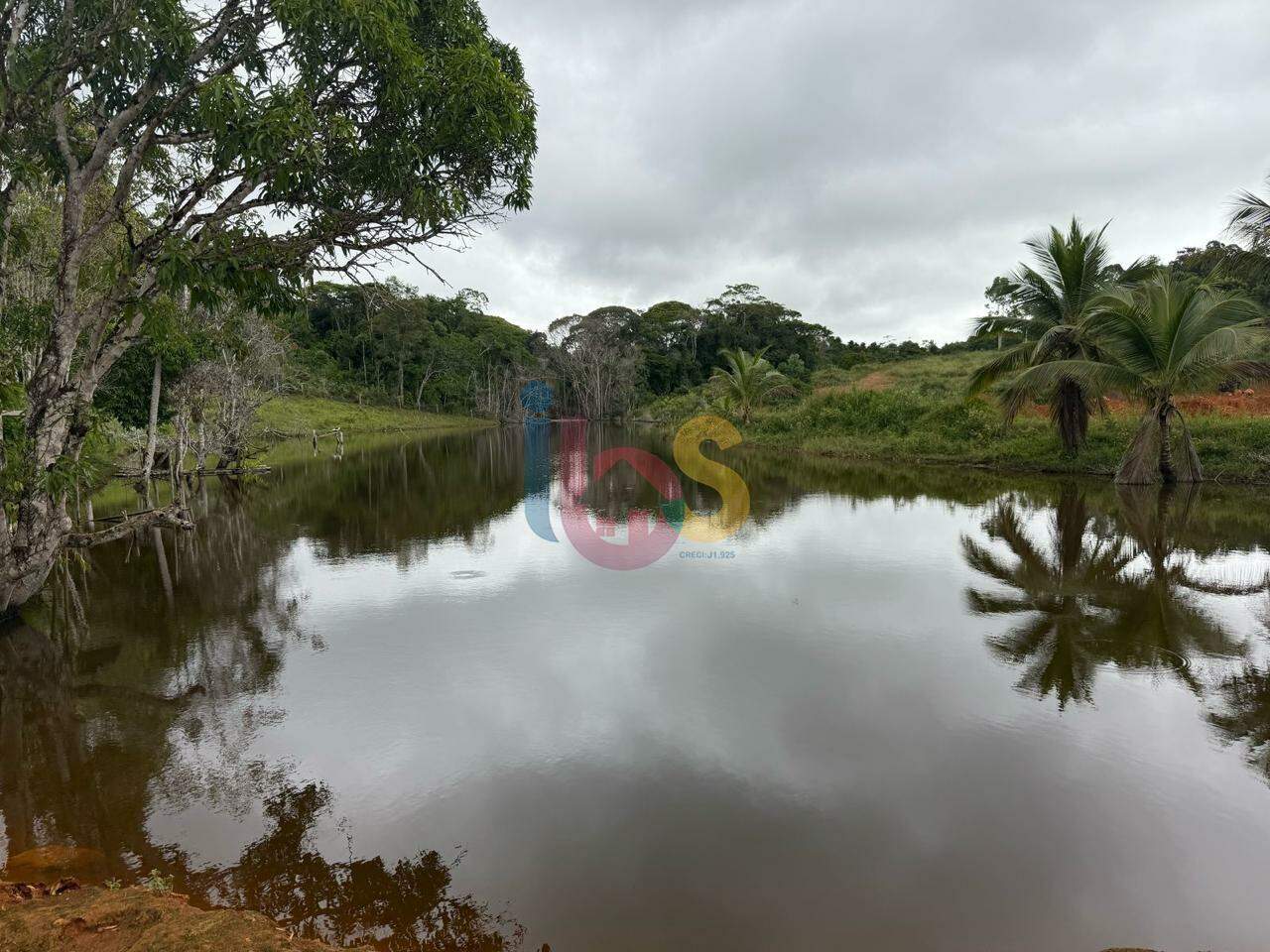 Fazenda-Sítio-Chácara - Foto 5