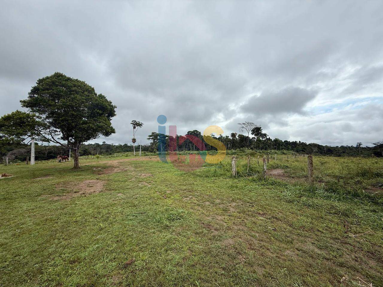 Fazenda-Sítio-Chácara - Foto 1