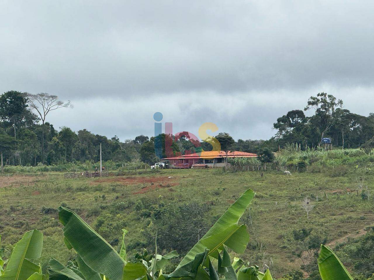 Fazenda-Sítio-Chácara - Foto 3