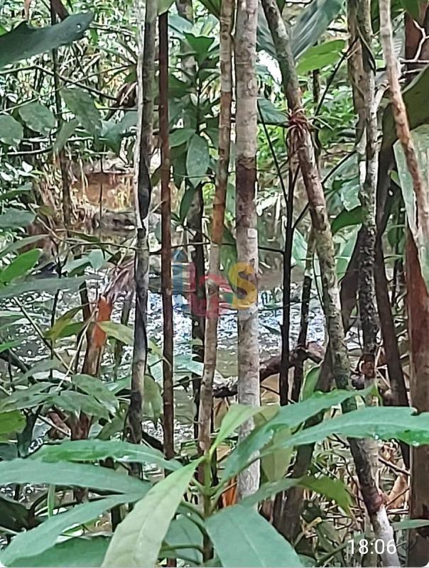 Terreno, 25 hectares - Foto 5