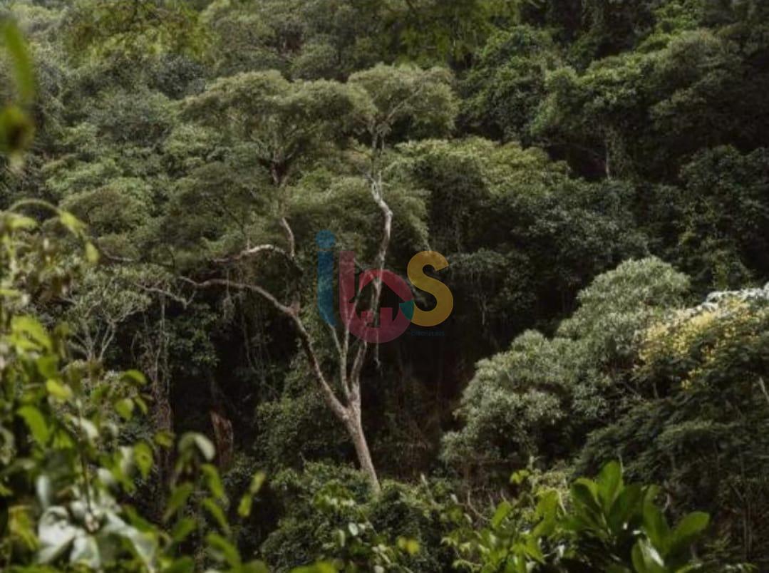 Terreno, 25 hectares - Foto 2