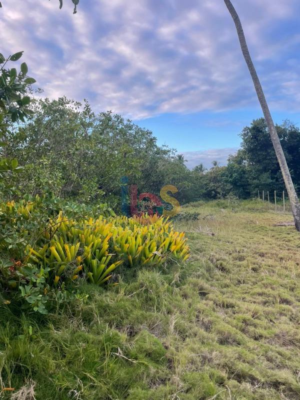 Terreno, 500 m² - Foto 9