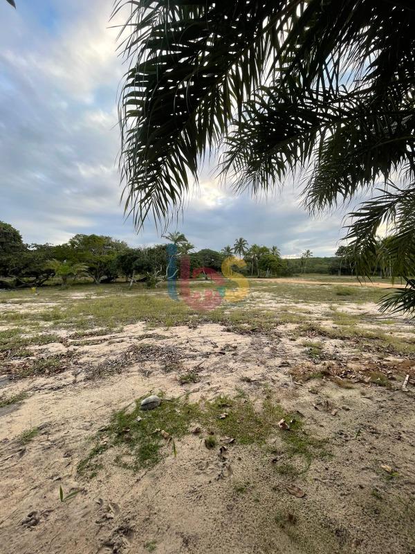 Terreno, 500 m² - Foto 5