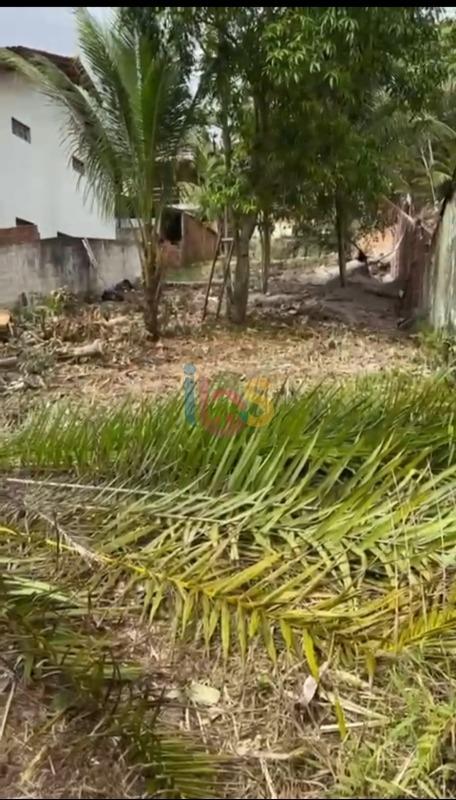 Terreno, 300 m² - Foto 6