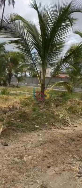 Terreno, 300 m² - Foto 3