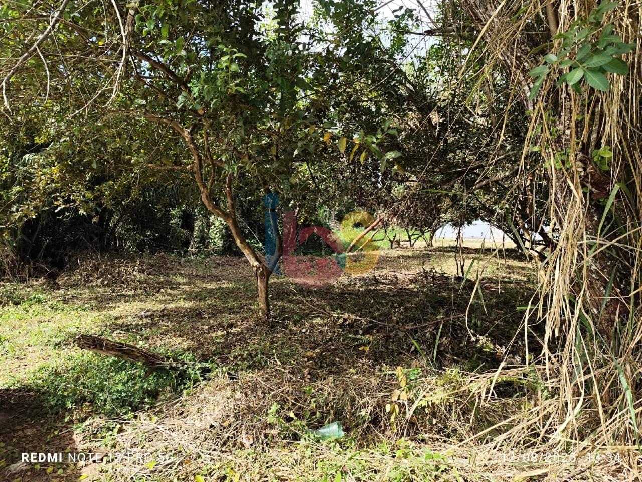 Terreno, 525 m² - Foto 12