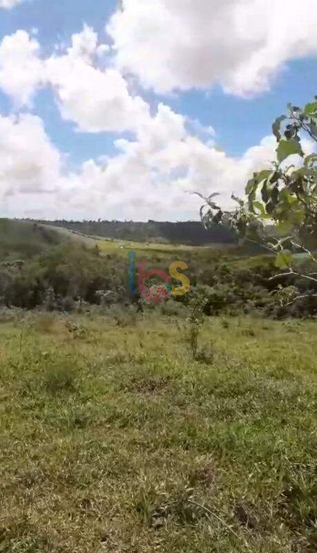 Fazenda-Sítio-Chácara - Foto 4