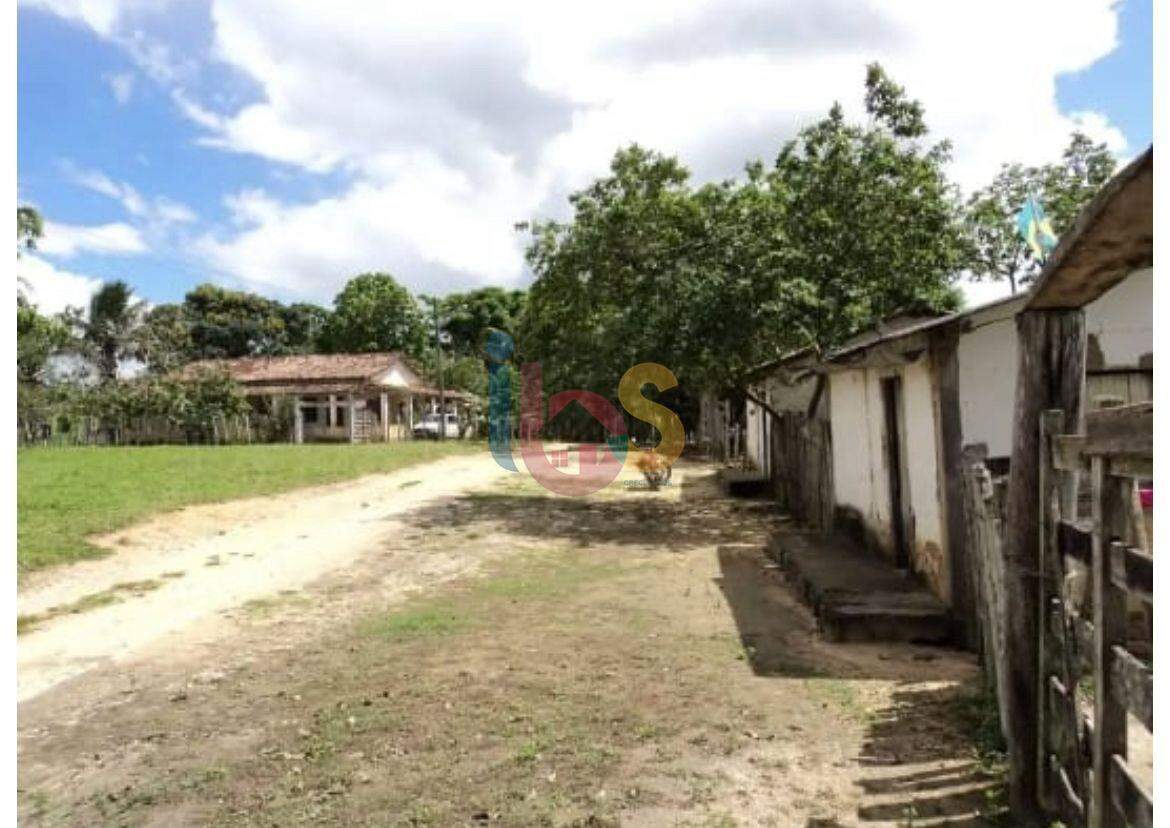 Fazenda-Sítio-Chácara - Foto 3