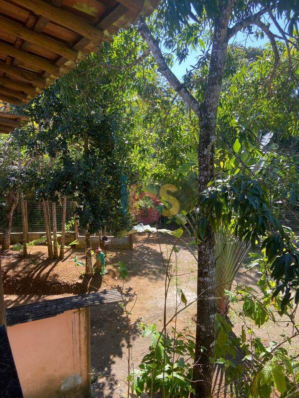 Sítio à venda com 3 quartos, 300m² - Foto 2