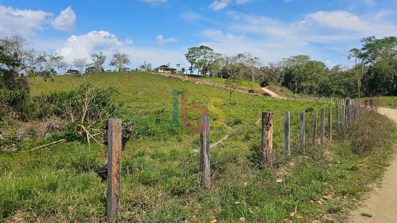 Fazenda - Foto 20