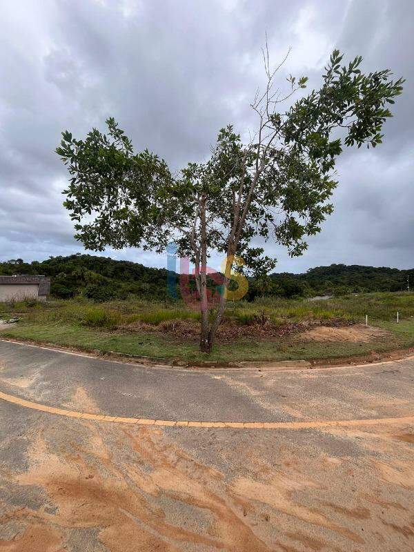 Terreno, 665 m² - Foto 6