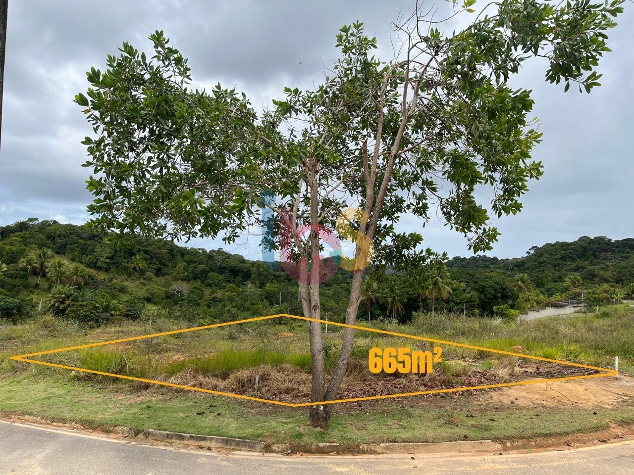 Terreno, 665 m² - Foto 3