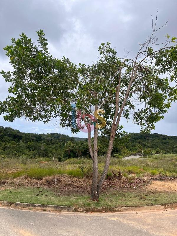 Terreno, 665 m² - Foto 5