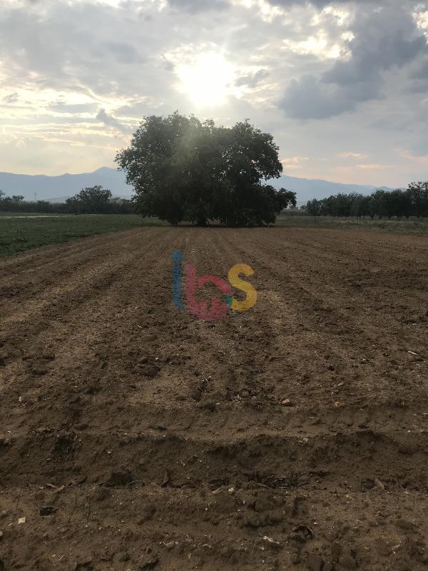 Terreno, 560 m² - Foto 2