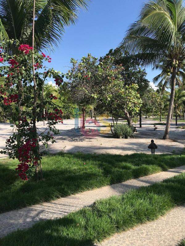 Sítio, 4 quartos, 3 hectares - Foto 4