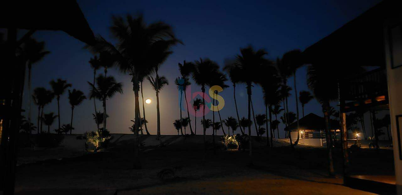 Sítio, 4 quartos, 3 hectares - Foto 22