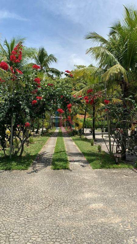 Sítio, 4 quartos, 3 hectares - Foto 2