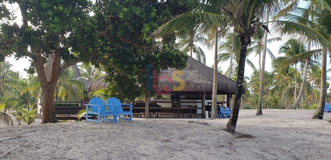 Sítio, 4 quartos, 3 hectares - Foto 16