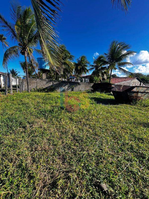 Terreno, 621 m² - Foto 3