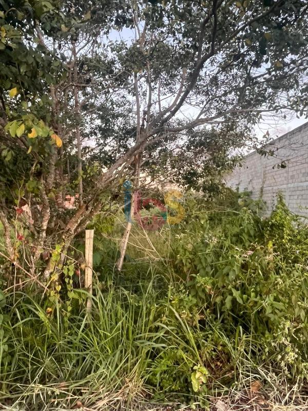 Terreno, 525 m² - Foto 5