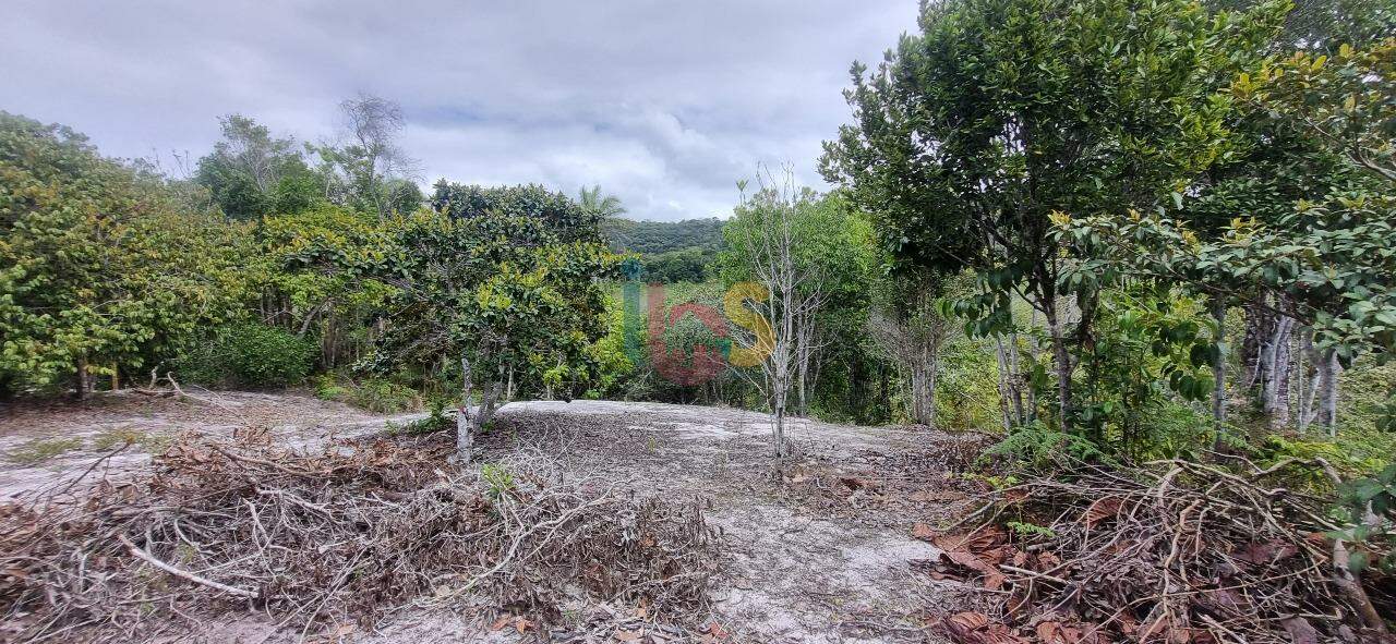 Terreno, 495 m² - Foto 1