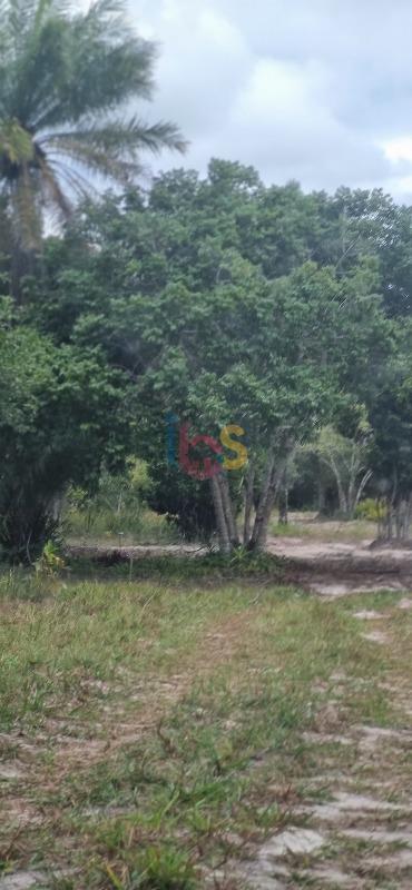 Terreno, 495 m² - Foto 3