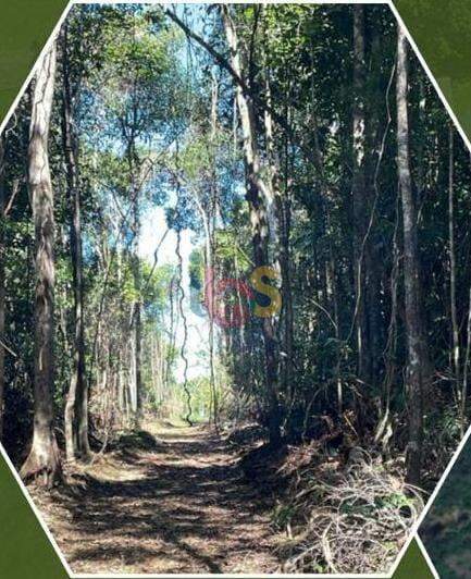 Terreno, 1000 m² - Foto 2