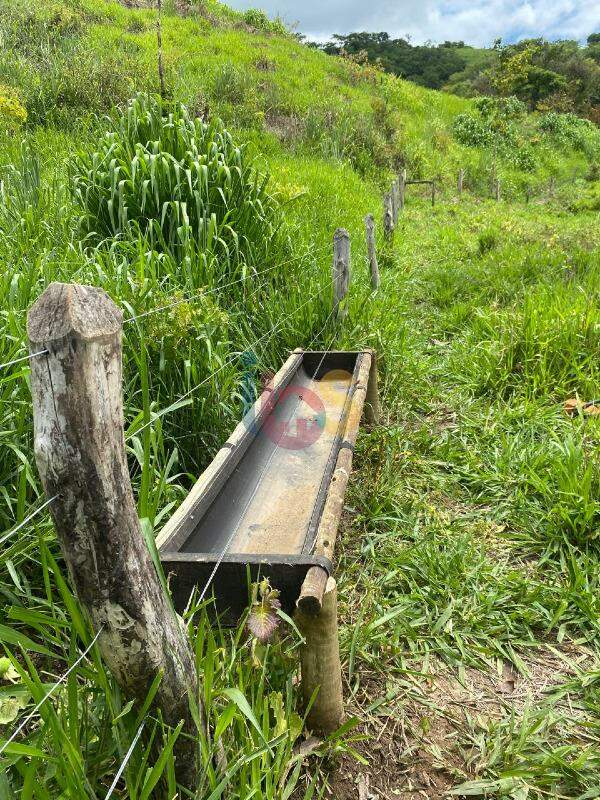 Fazenda-Sítio-Chácara, 457 m² - Foto 3