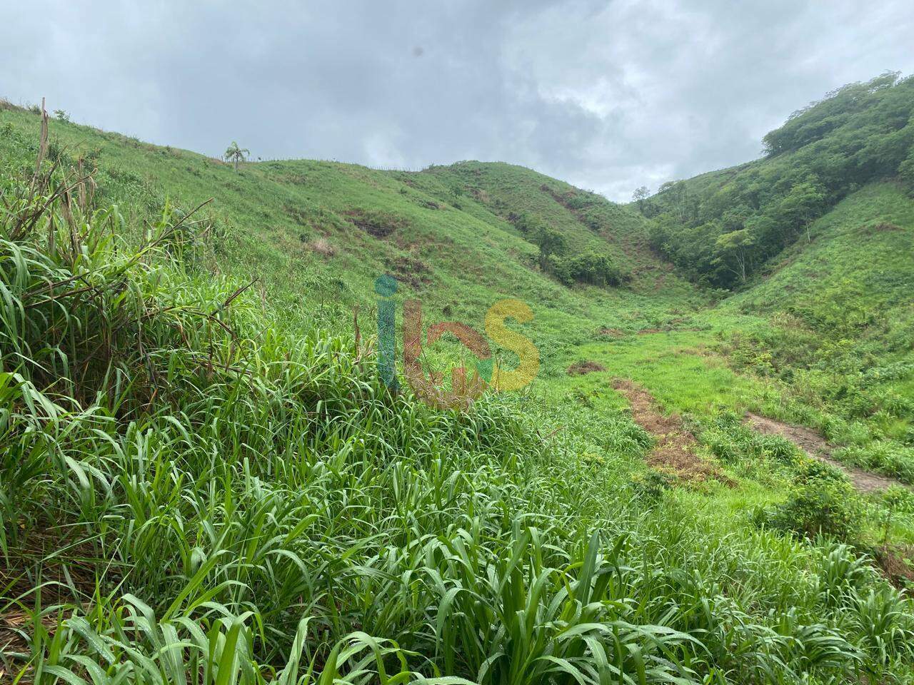 Fazenda-Sítio-Chácara, 457 m² - Foto 1