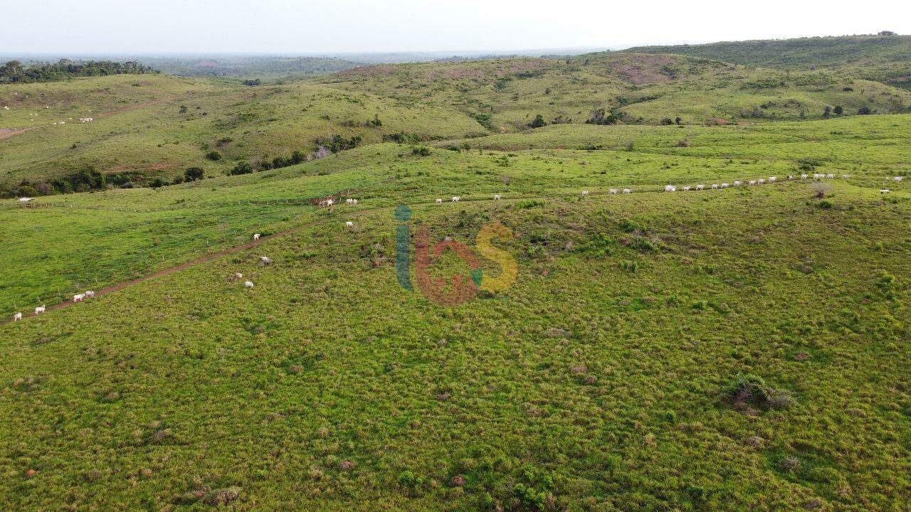 Fazenda, 7260 m² - Foto 5